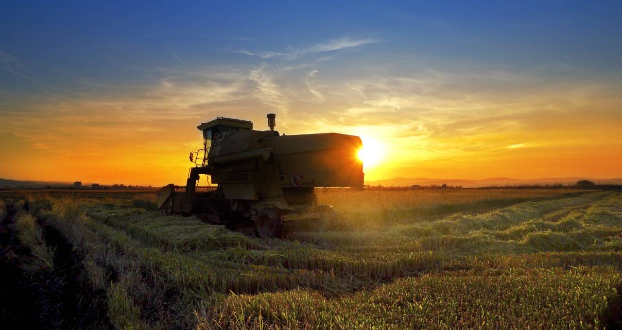 Indústria de FIAGRO cresce 315% em dois anos - Funds Society Brasil