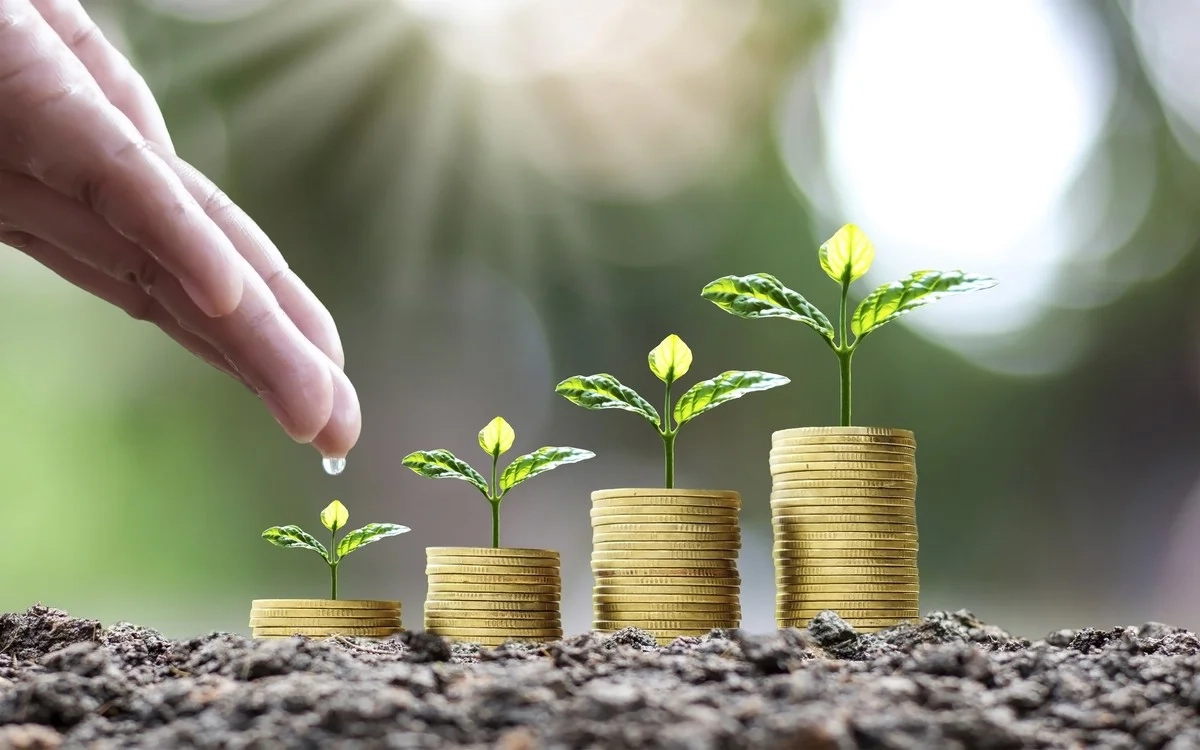 Associação vai promover mercado de capitais para o agronegócio